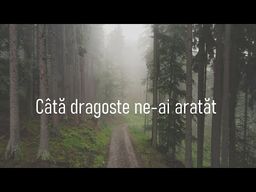 Aripi Spre Cer | Radio Crestin