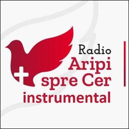 Aripi Spre Cer Instrumental | Radio Crestin