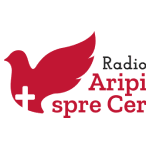 Aripi Spre Cer Instrumental | Radio Crestin