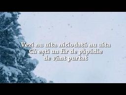 Aripi Spre Cer Predici | Radio Crestin